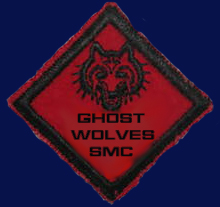 File:Wolves patch 2.jpg