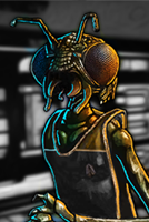 The Xindi-Insectoid cadet aboard the USS Centris-A.