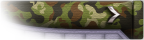 DS9-Camo-Pvt1st-Olive.png