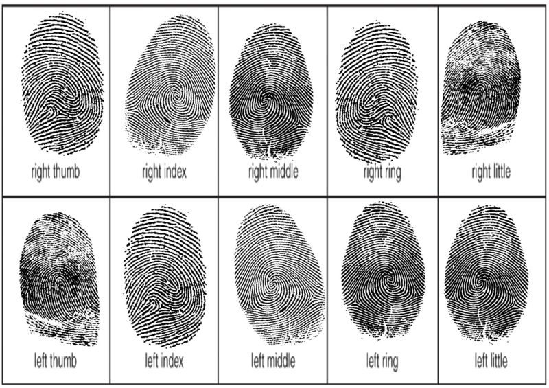 File:Fingerprints, Dakrevi.png
