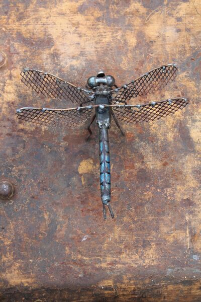 File:Dragonfly art.jpg