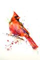 Artwork on canvas of a red bird.