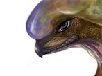 Xindi-Avian.jpg