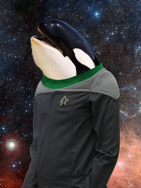 File:WhaleMascot.png