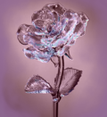 Crystal Rose Gift from Vitor Silveira