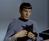 Spock-n-Cat.jpg