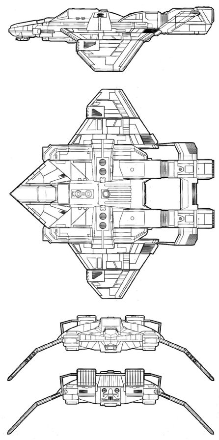 File:Peregrine.jpg - 118Wiki