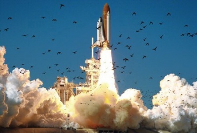 Shuttle Landing: Credit - NASA